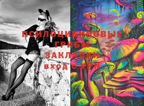 дурь Алзамай