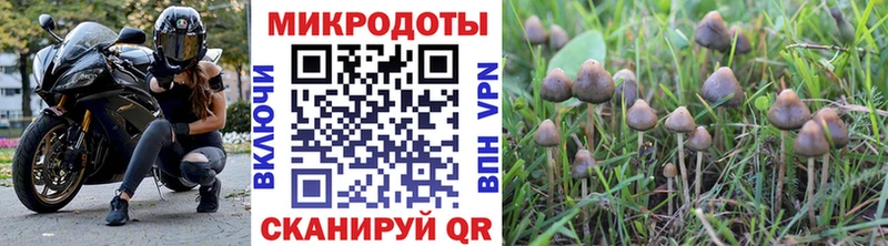 Купить  Видное  Псилоцибиновые грибы мухоморы 